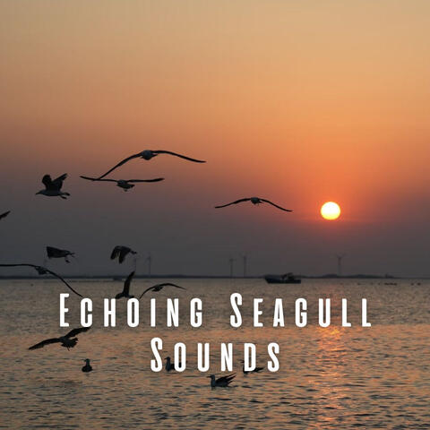 Echoing Seagull Sounds