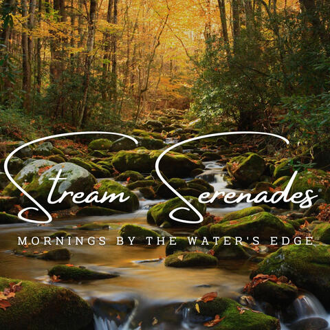Aqua Java Jams: Stream Serenades for Coffee Lounge (ASMR)
