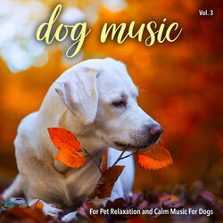 Dog Music