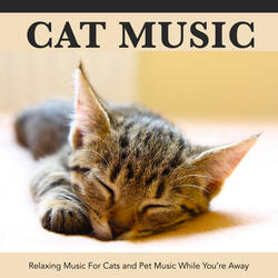 Soft Cat Music