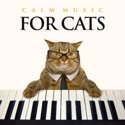 Relaxing Music For Dogs