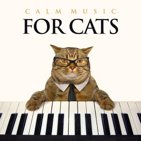 Calm Music For Cats: Relaxing Piano Background Music For Cats, Music For Pets, Pet Relaxation and The Most Relaxing Cat Music