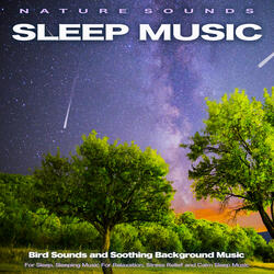 Relaxing Nature Sleep Aid