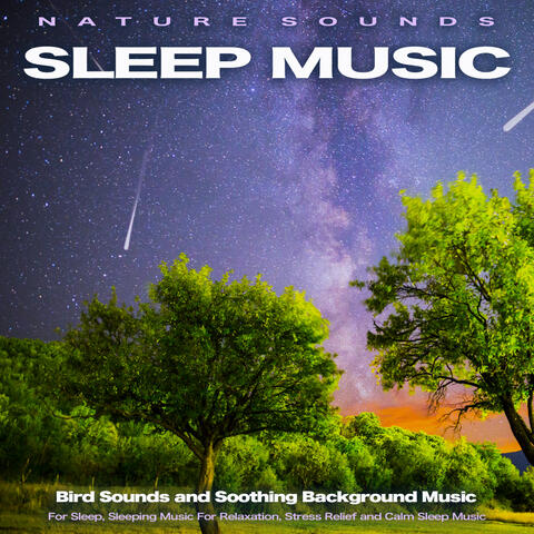Nature Sounds Sleep Music: Bird Sounds and Soothing Background Music for Sleep, Sleeping Music For Relaxation, Stress Relief and Calm Sleep Music