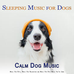 Soothing Piano Music for Dogs