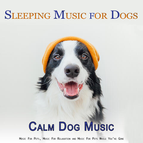 Sleeping Music For Dogs: Calm Dog Music, Music For Pets, Music For Relaxation and Music For Pets While You're Gone