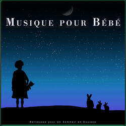 Berceuses pour Un Sommeil en Douceur