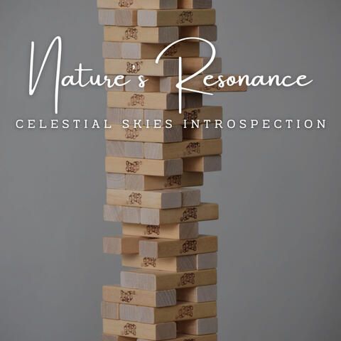 Tranquil Piano Focus: Nature's Resonance