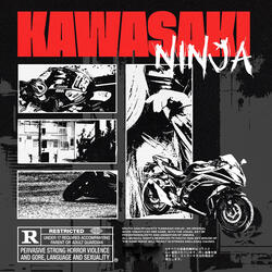 Kawasaki Ninja