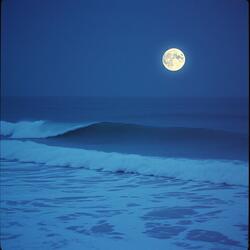 Buscando tu dulce voz