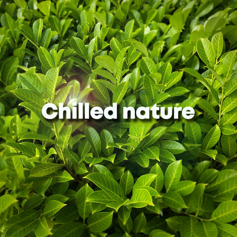 Chilled Nature
