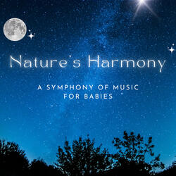 A Symphony for Babies in the Rain