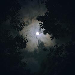 Soft Beats Night Serenity