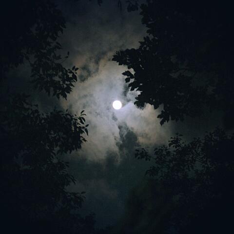 Quiet Night Beats: Hip Hop for Relaxation