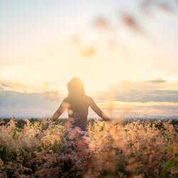 Serene Vibes for Comfort