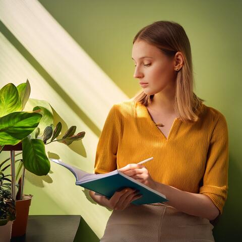 Música Lofi Para Enfoque: Ritmos Para Una Profunda Concentración