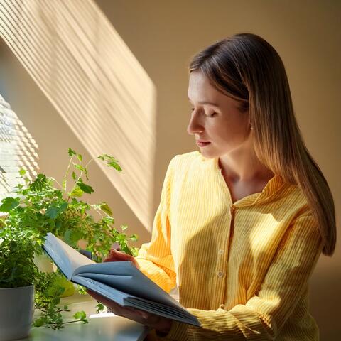 Música Lofi Para Estudiar: Ritmos Suaves Para Aprender Y Concentrarse