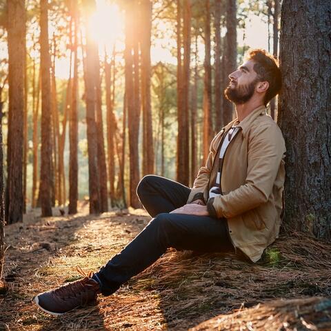 Lofi Escape: Gentle Melodies for Deep Relaxation and Calm