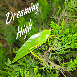 Dreaming High