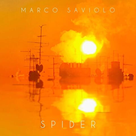 Spider