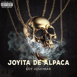 JOYITA DE ALPACA