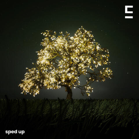 watching you were not here