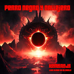 Perro negro y callejero