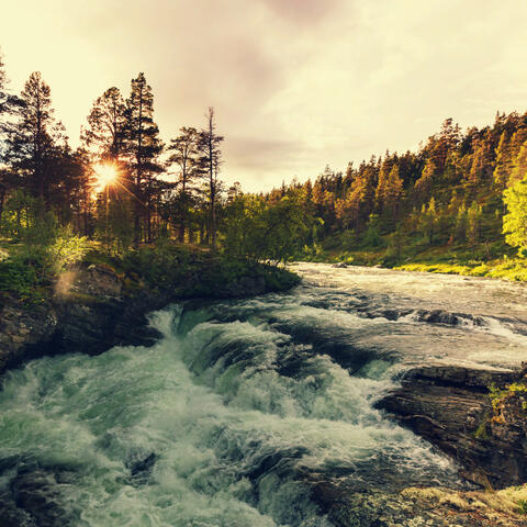 River's Lullaby: Nature's Serene Waters