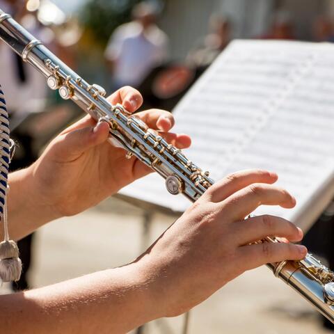 Orchestra Melodies for Quiet Moments
