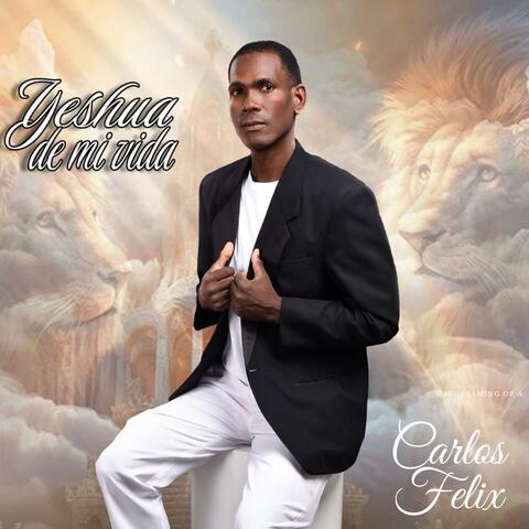 Yeshua de mi vida