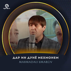 Анори майда дона