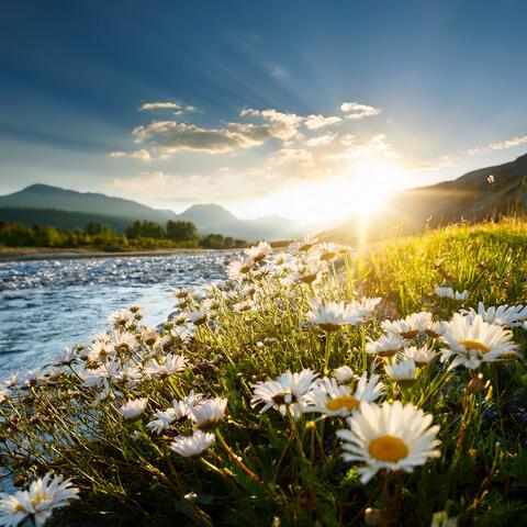 Music For Unwinding The Body And Soul