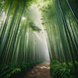 Sounds Of The Wild Earth