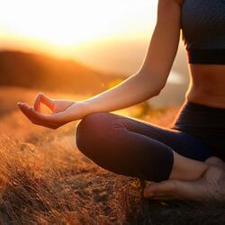 Harmonizing With Stillness