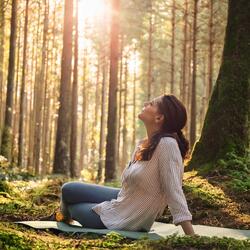 A Gentle Path Of Awareness