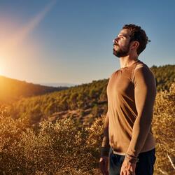 The Pulse Of Serenity In The Air