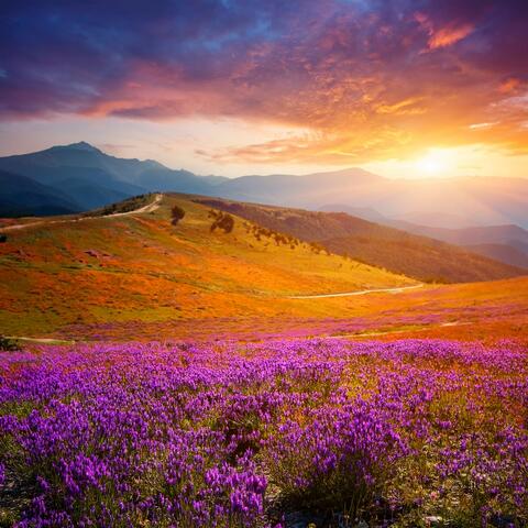 Music For Deep Relaxation And Quiet Escape