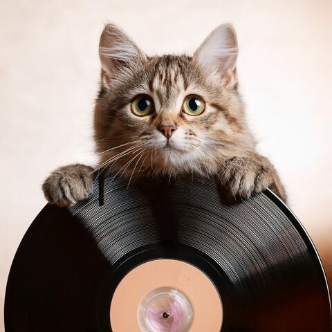 Lofi Beats For Cozy Paws