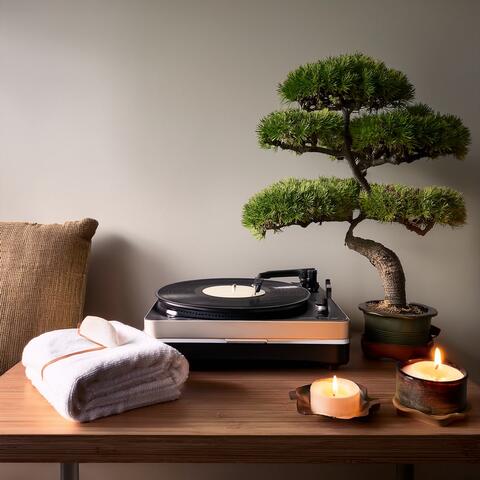 Music For Relaxation And Calm Moments