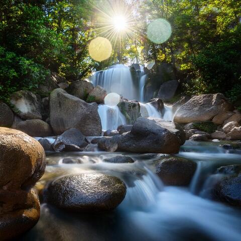 Music For Calm And Clarity