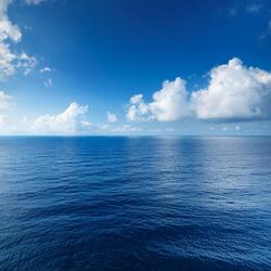 Through The Great Forest