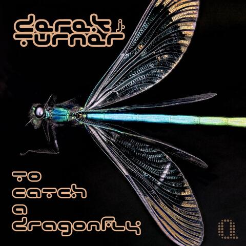 To Catch a Dragonfly