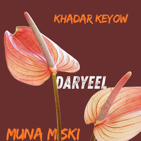 Daryeel