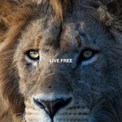 Trust What You Say