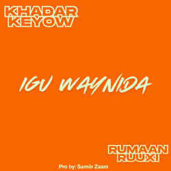 Igu Waynida