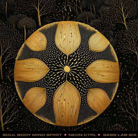 Soul Body Mind Spirit