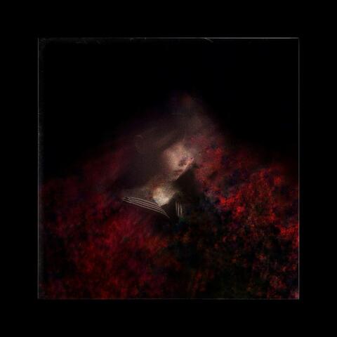 Red Spider Lily 彼岸花