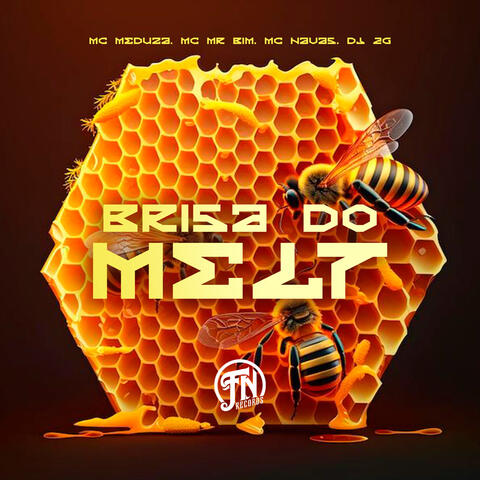 BRISA DO MELT