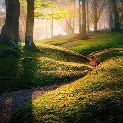 The Softest Touch Of Time