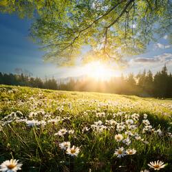 A Soft Pause Between Tasks